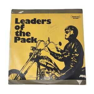 Leaders of the Pack Vintage Vinyl Record